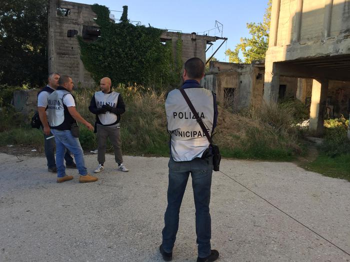 Bighe e cavalli su strade cittadine, multe a Pescara: c’è ordinanza che vieta transito