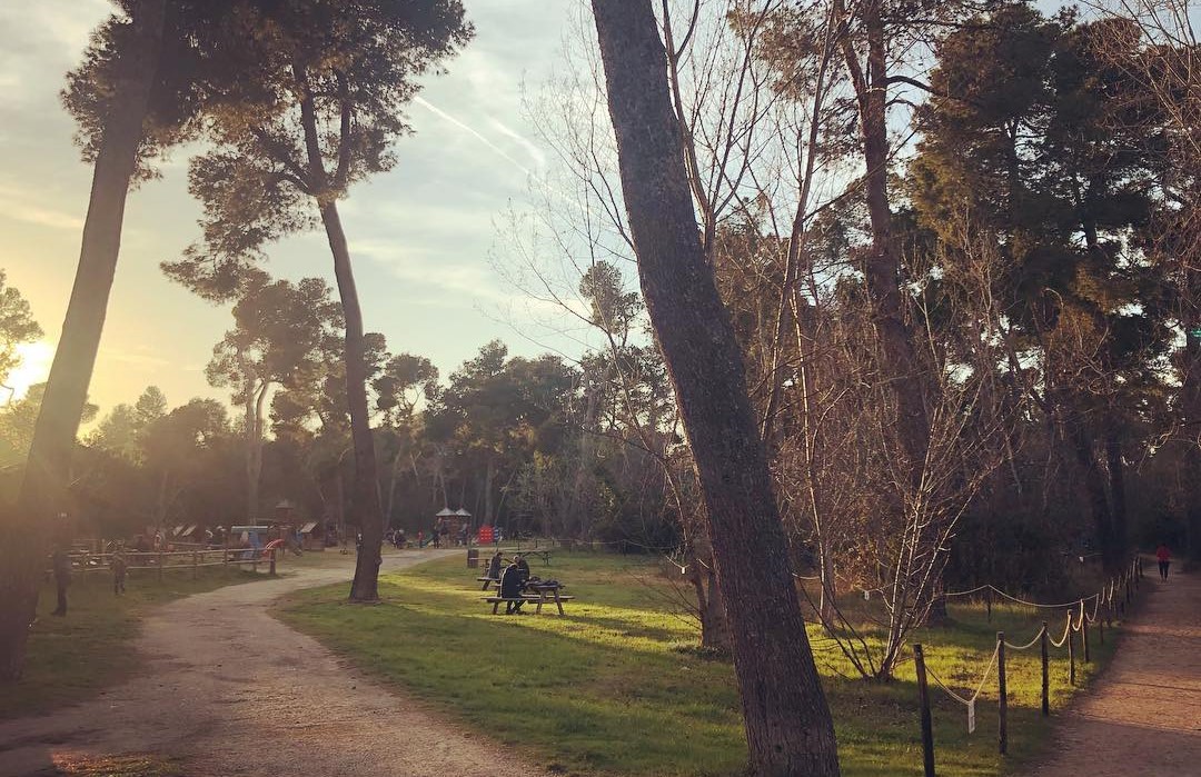 Riserva Dannunziana, polmone verde di Pescara, riapre a sette mesi dall’incendio