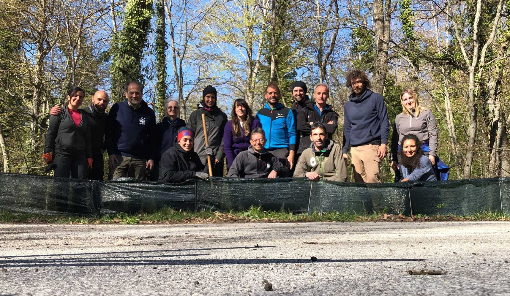 Montate barriere mobili sulla Provinciale 164, salve le salamandre