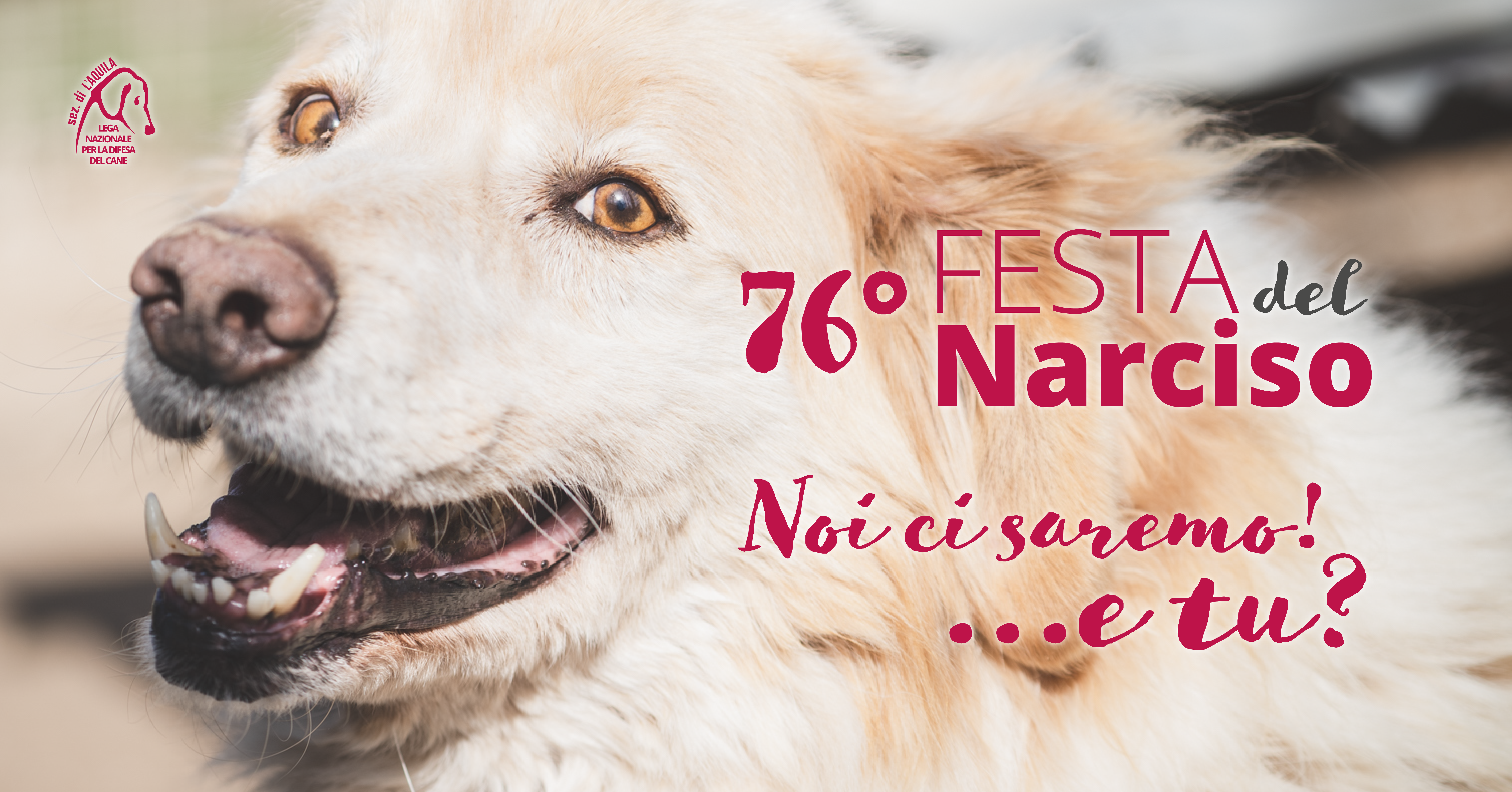 La Lega del Cane dell’Aquila alla 76esima Festa del Narciso