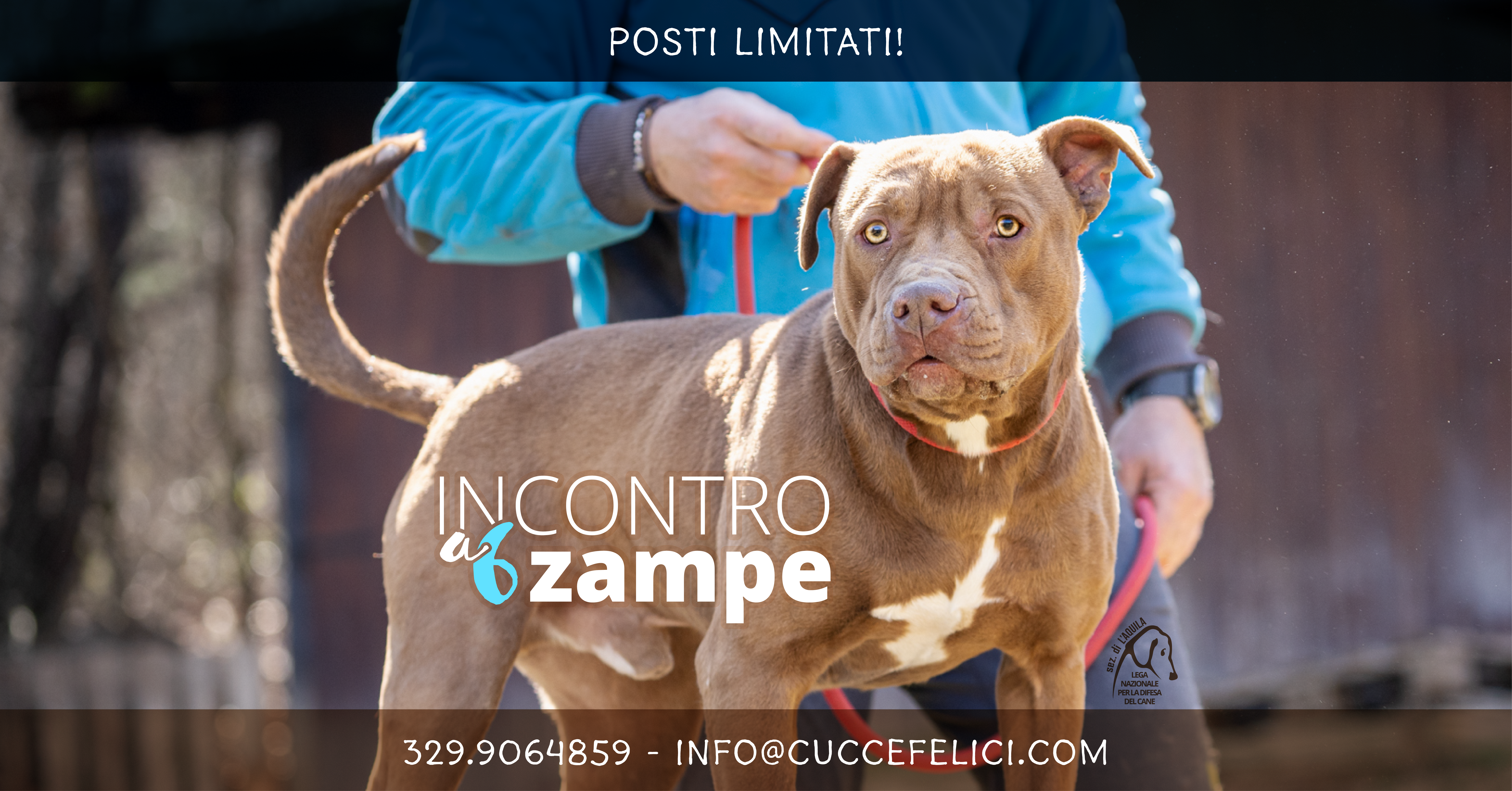 Incontro a 6 zampe, l’evento all’Aquila con la Lega per la difesa del cane