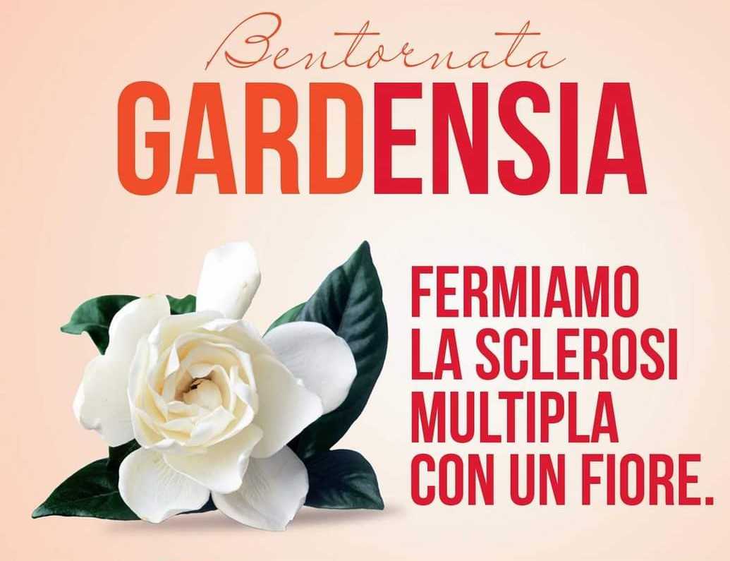 Giornata per la ricerca contro la sclerosi multipla, raccolta fondi a Silvi