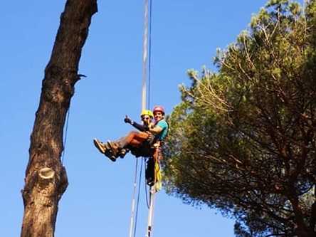 All’Aquila 5 giornate di Tree climbing, a Roio si dormirà anche sugli alberi