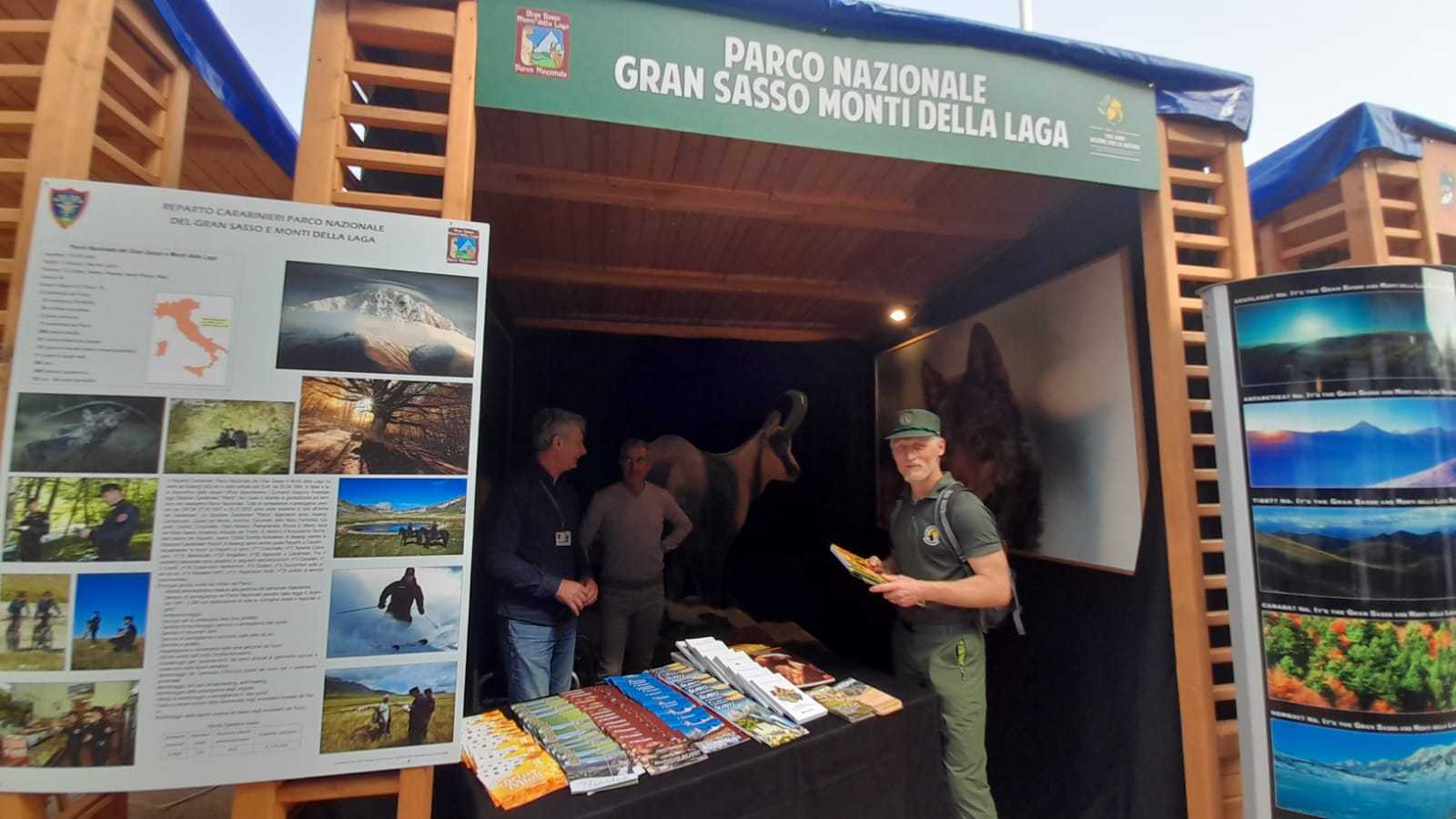 Convivere correttamente con gli orsi, arriva un nuovo finanziamento per corridoi ecologici Italia Grecia