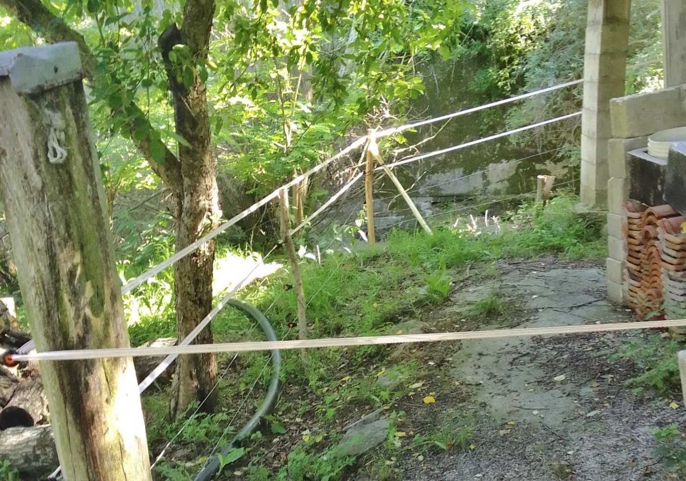 Orso bruno marsicano: nuove azioni per garantire una serena convivenza con l’uomo  