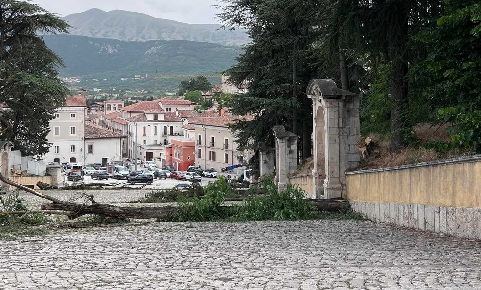 Taglio degli alberi alla scalinata di San Bernardino, il Comune: “Rischio crolli per via dei funghi”