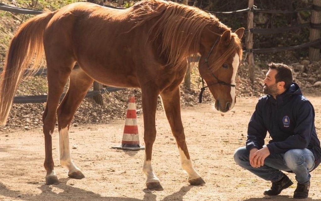 Autismo e avvicinamento al cavallo, l’iniziativa al Circolo Ippico Cavalieri dell’Antea a Vittorito