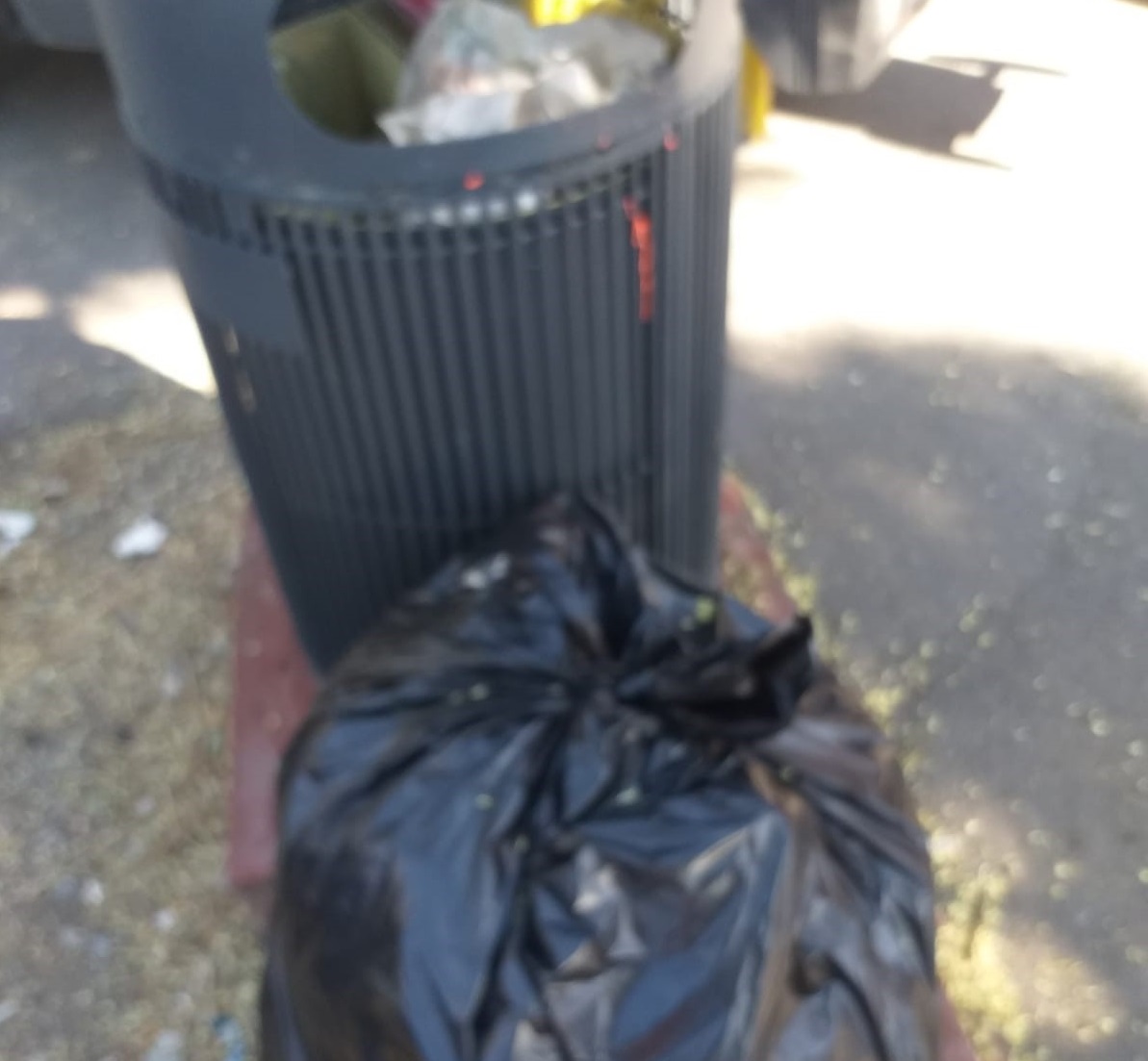 Silvi, l’amministrazione comunale dichiara guerra agli incivili