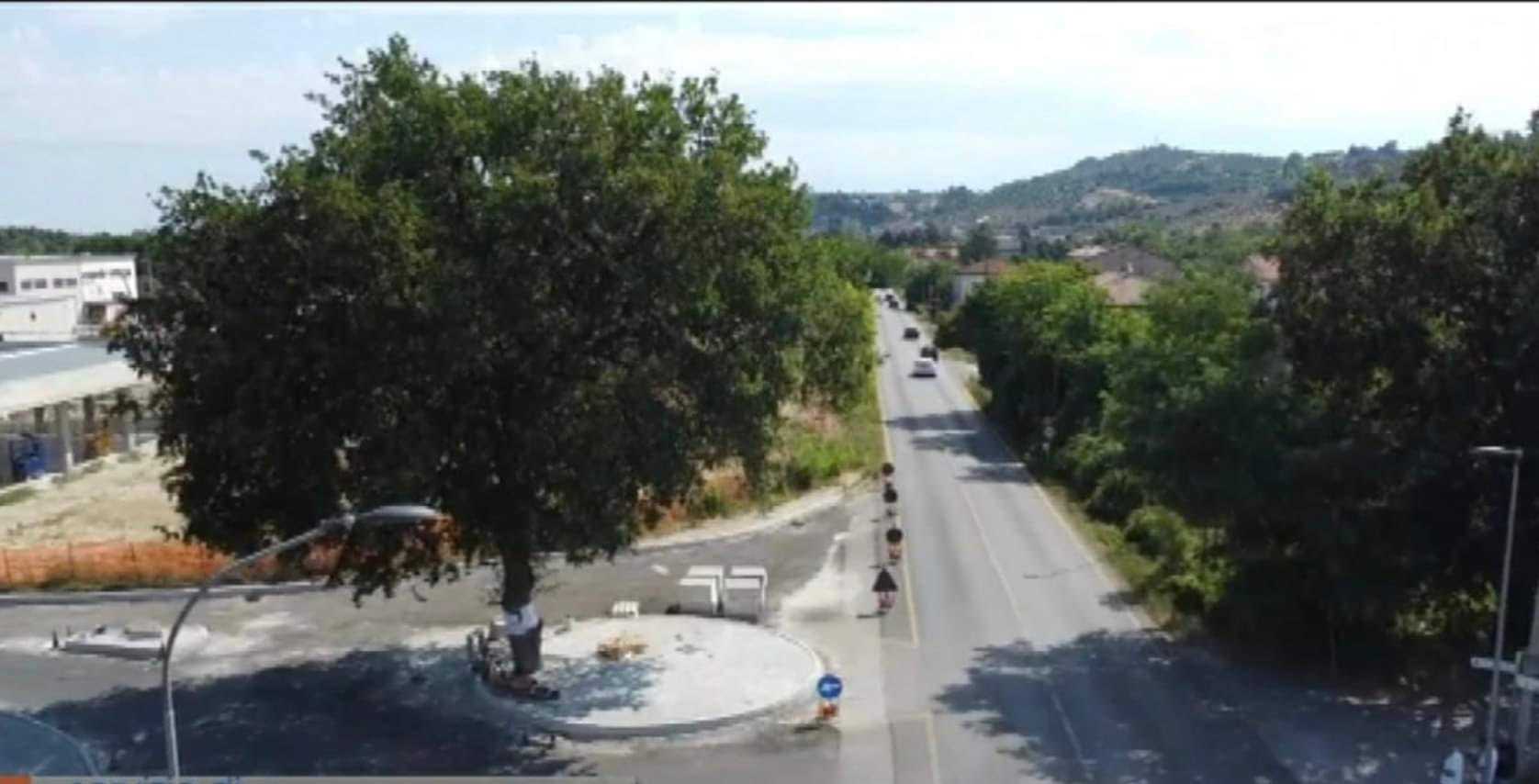 Anas non sente ragioni e domani abbatterà una quercia di quasi 100 anni: atteso sit in di protesta