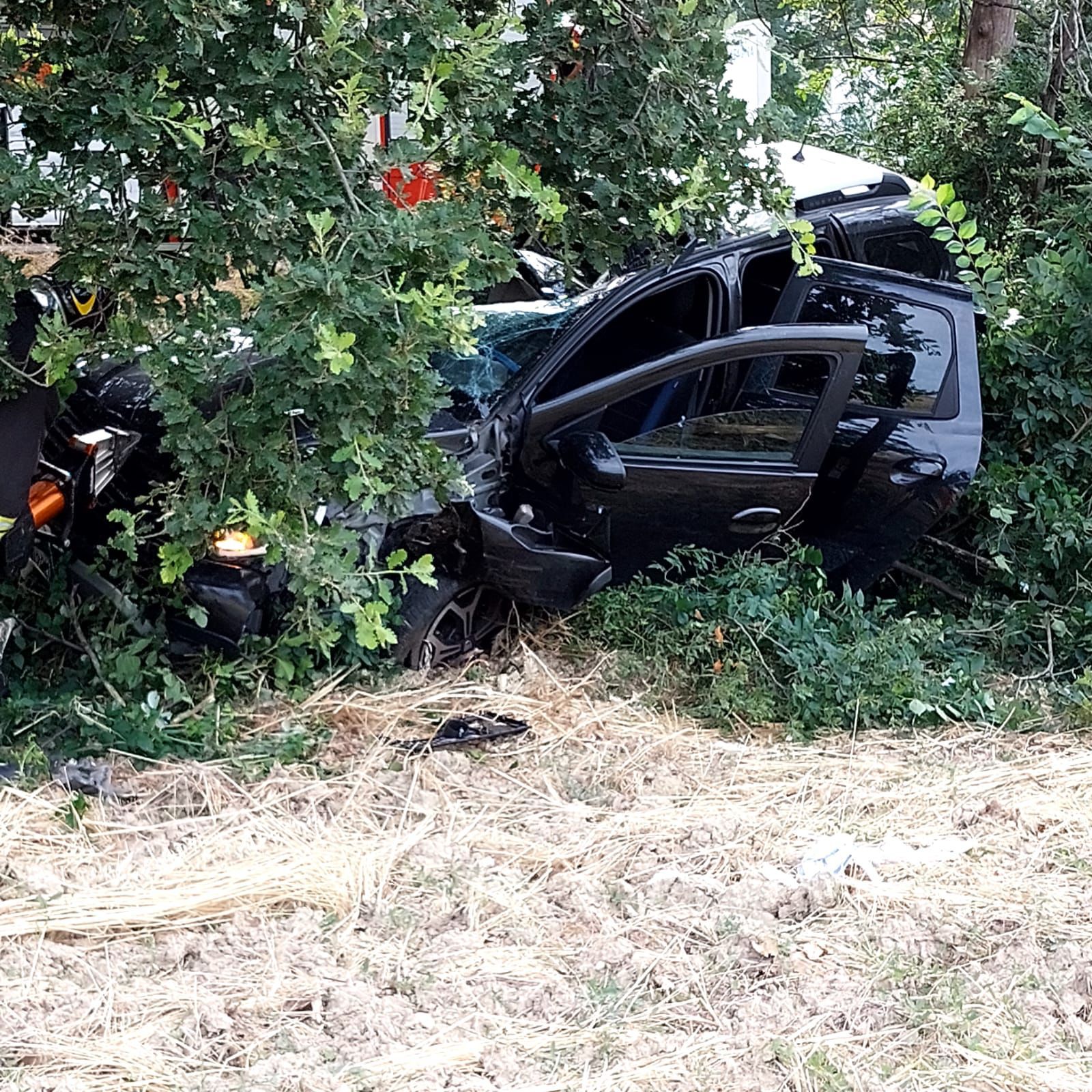 Velocità alla guida e continui incidenti sulla Statale 81, arriva autovelox fisso (foto)
