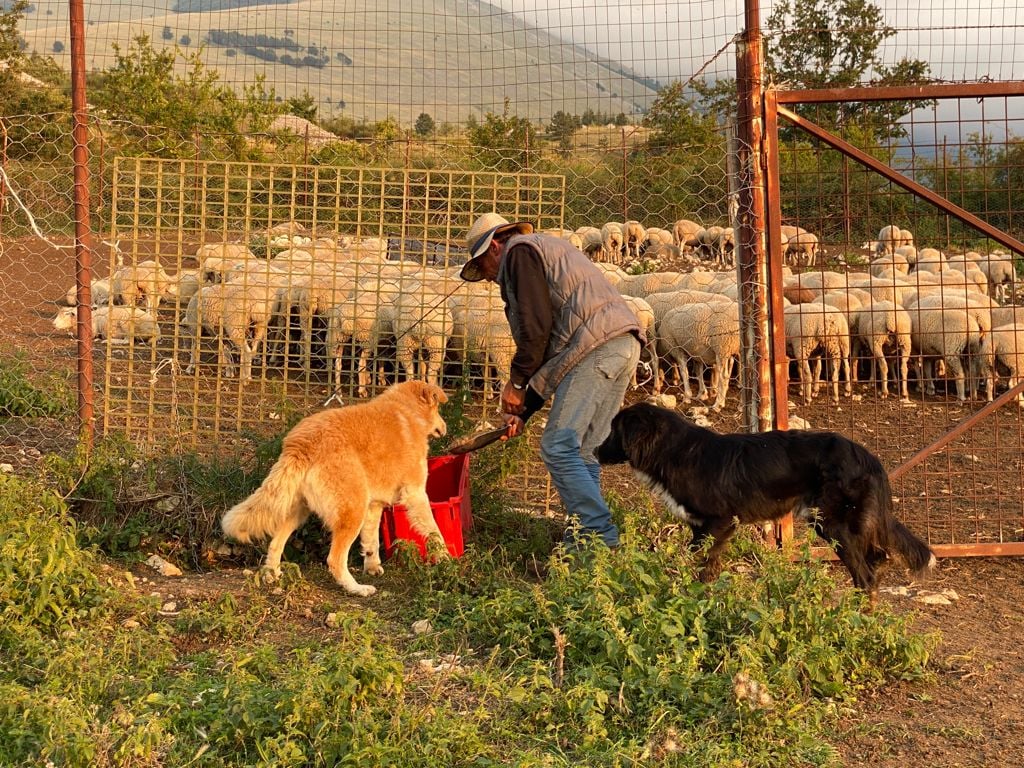 “Madre Maiella”, natura e sapori per un’economia sostenibile: 3 giorni di degustazioni e convegno