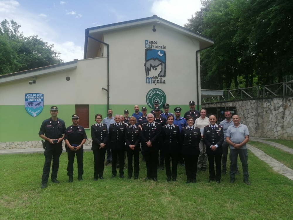 “Wolfnext”, arrivano gli investigatori per la tutela dei lupi