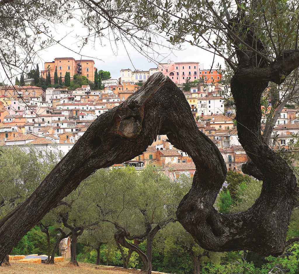 Aperitivi botanici: appuntamenti al parco paesaggistico Lauretum