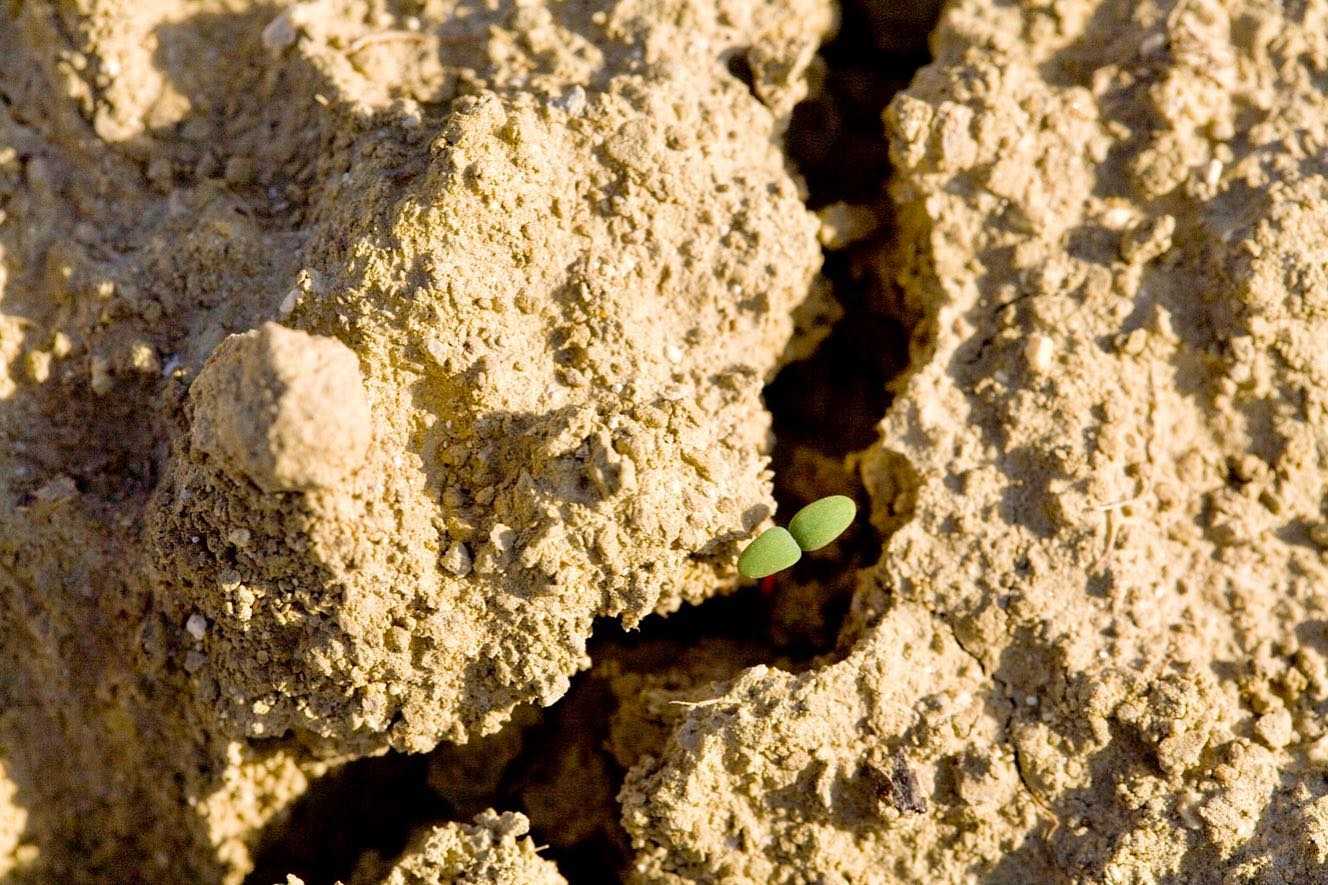 L’arte come indagine delle aree rurali: progetto parte in provincia Pescara