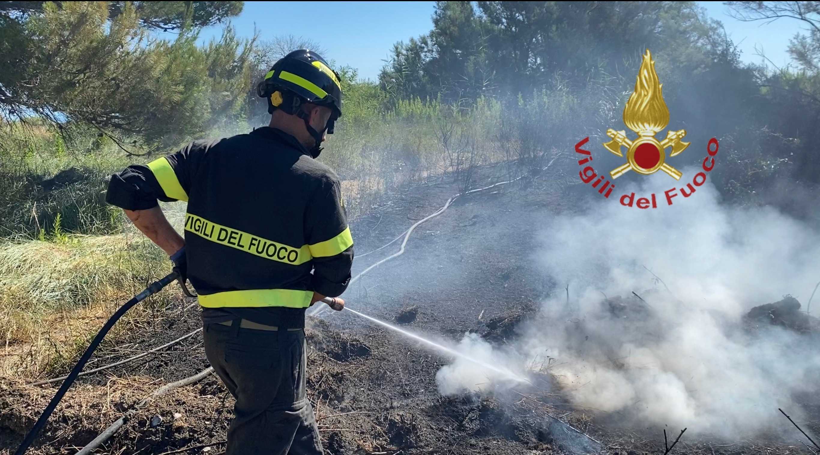 Incendio all’ex camping, vigili del fuoco salvano la pineta (foto)