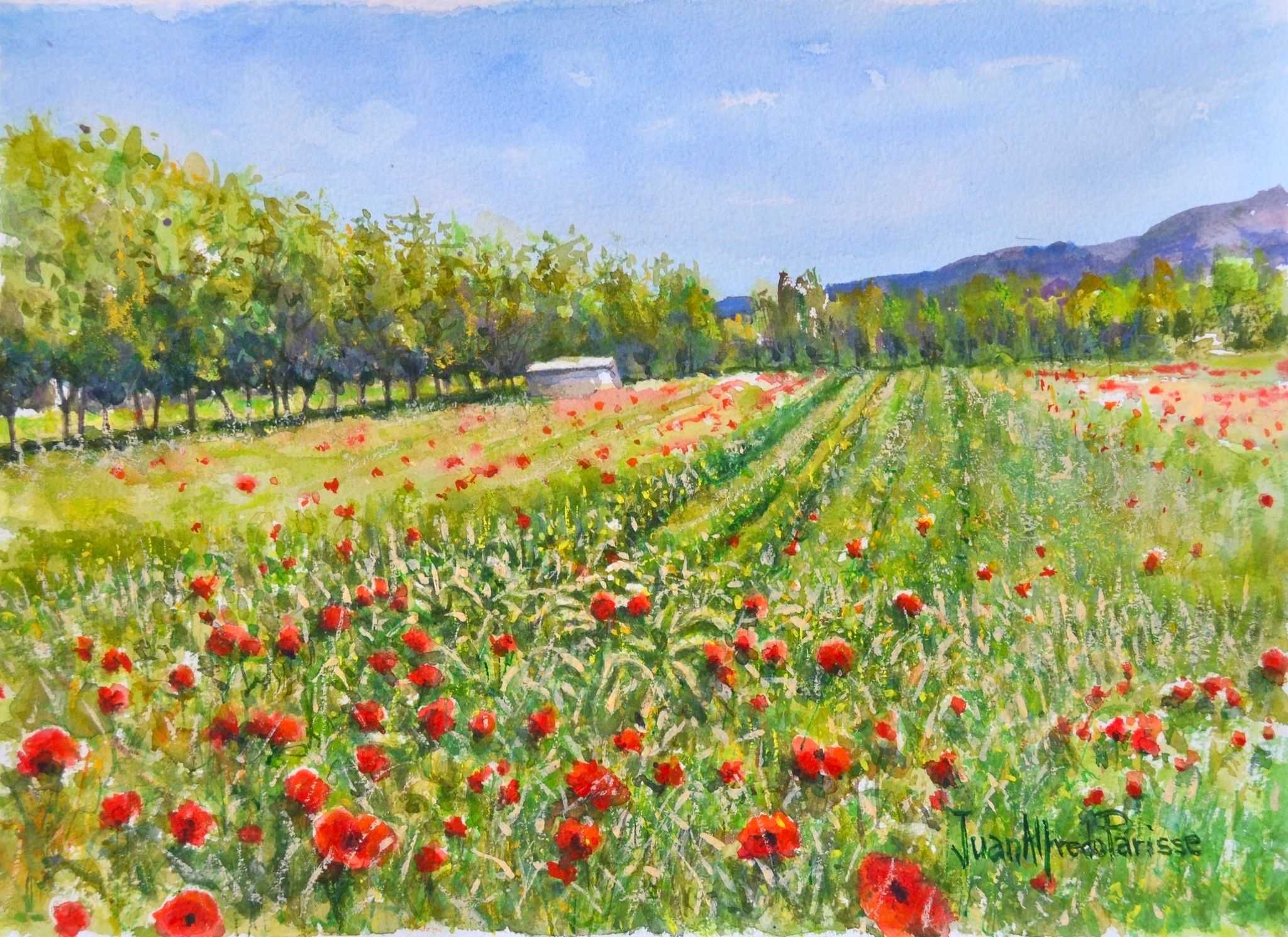 Perdonanza: l’omaggio dell’artista aquilano Juan Alfredo Parisse