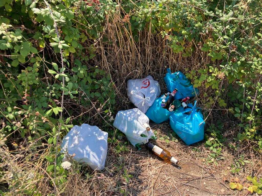 Degrado e abbandono nei pressi della Riserva Dannunziana: “Nuove potenziali cause di incendi”