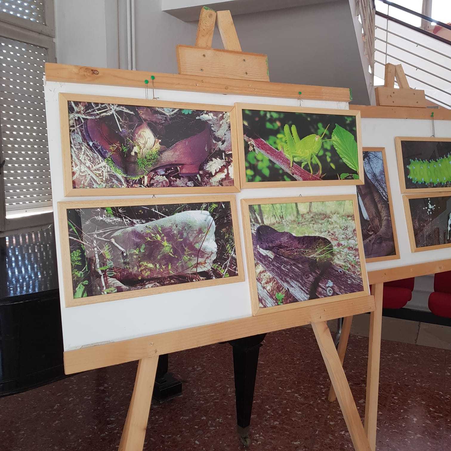 “Film per riflettere”: una serie di incontri per prendere coscienza della salute del pianeta