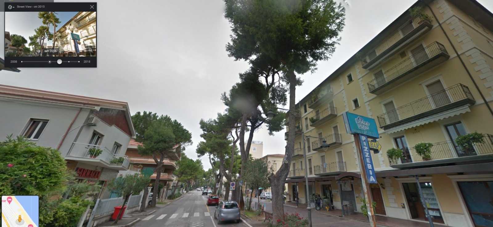 I pini della discordia, le precisazioni del servizio manutentivo del comune di Silvi: “Sotto attenta osservazione”