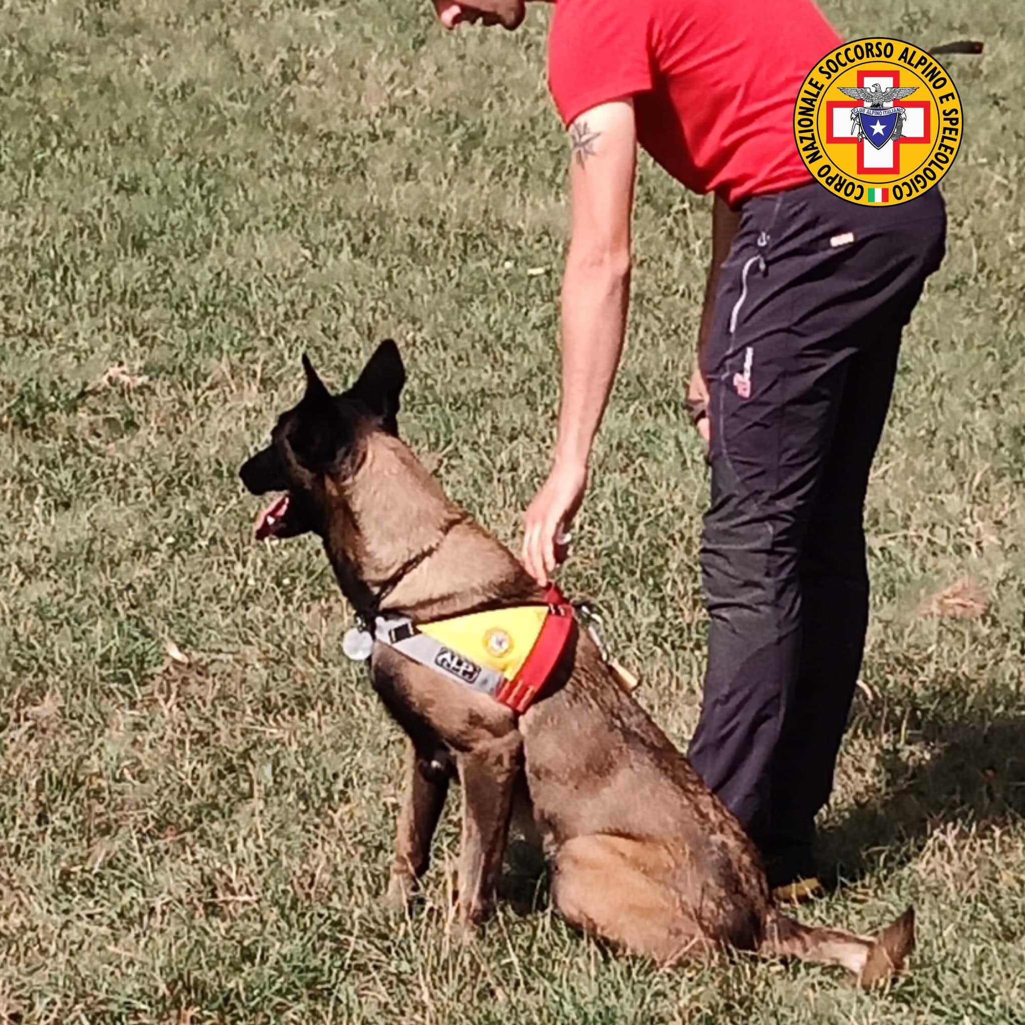 Giornata mondiale del cane: No Fear del Cnsas d’Abruzzo torna nella Marsica (video)