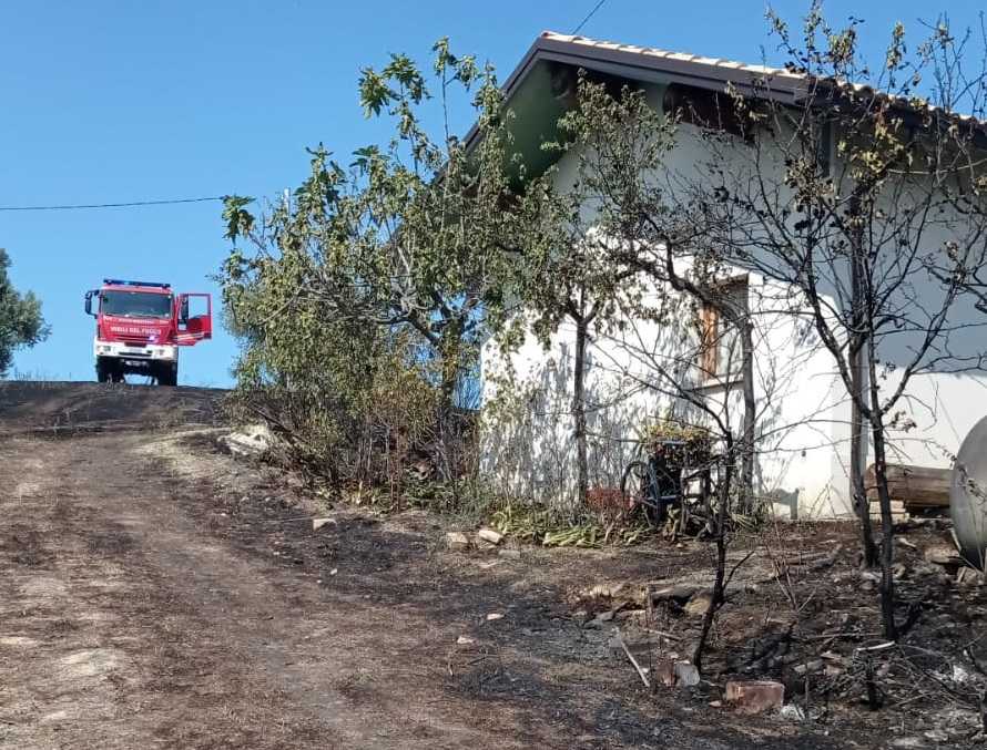 A fuoco alberi di ulivo a Alba Adriatica, evacuati due anziani
