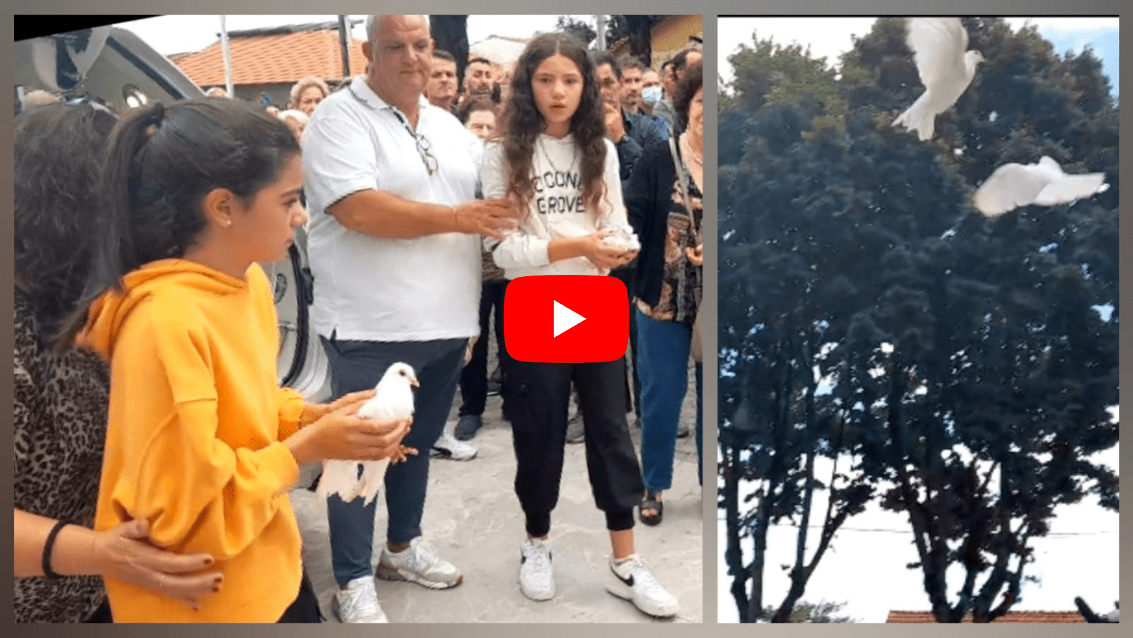 La compostezza nel dolore della famiglia di Alessia e la colomba bianca che ha accompagnato la bara (video)
