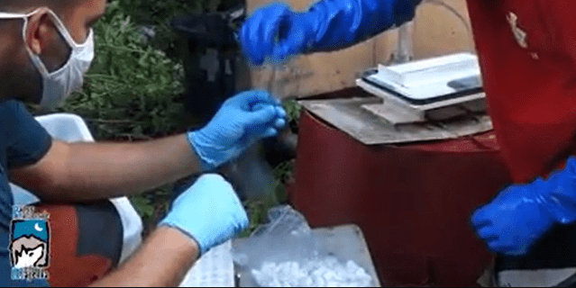 Al via nel Parco della Maiella il congresso nazionale degli ittiologi delle acque dolci 