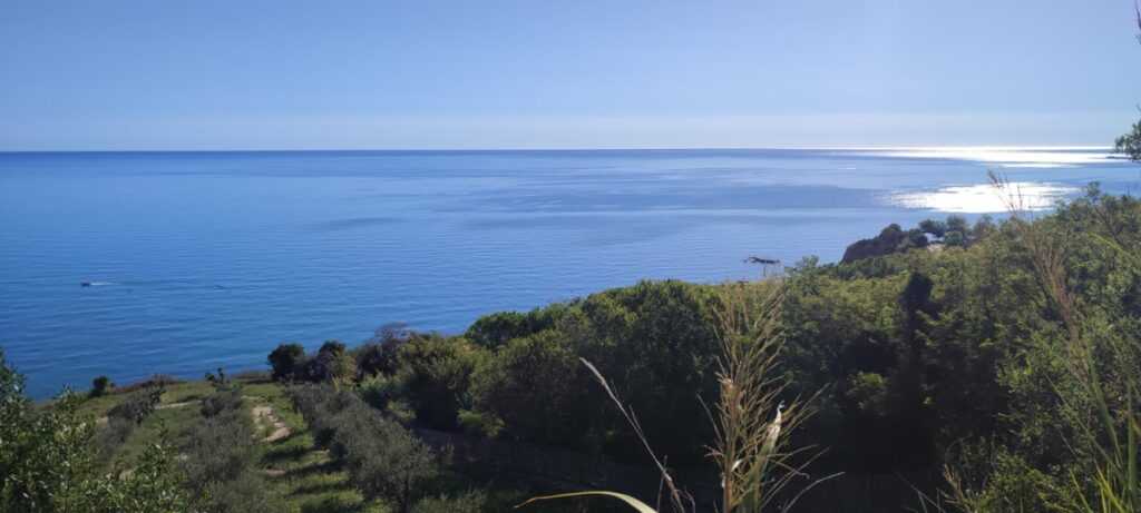 Nuovi edifici al posto degli uliveti sulla costa dei Trabocchi, presentato ricorso Tar