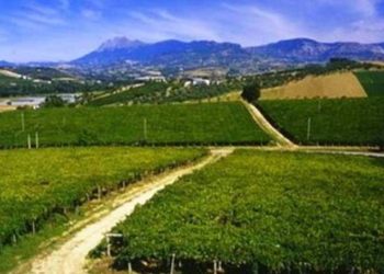 Consorzi bonifica, “no alla proroga e via all’operazione concretezza”