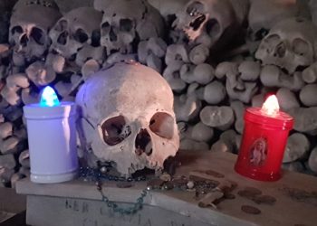 Questa non è la notte di Halloween