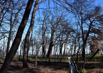 Rocca San Giovanni, investimento da un milione di euro per la realizzazione di quattro opere