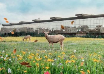 Protesta ambientalisti contro sede Regione in area risulta: “Da 34 anni aspettiamo parco centrale Pescara”