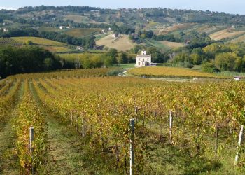 Val di Foro, Marsilio incontra sindaci e imprenditori: in cerca di idee e progetti per nuova programmazione europea