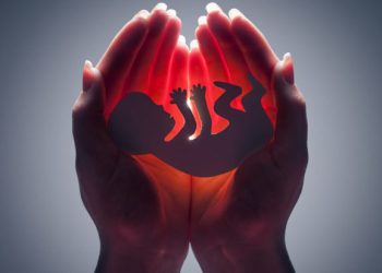 Aborto, “Zona Fucsia”: Ddl Gasparri contro libertà di scelta