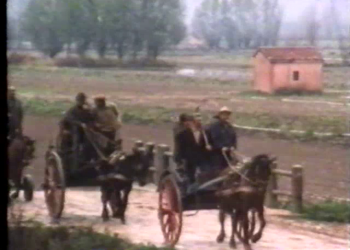 Lotte contadine e riforma agraria nell’Abruzzo del dopoguerra protagoniste di un convegno nazionale