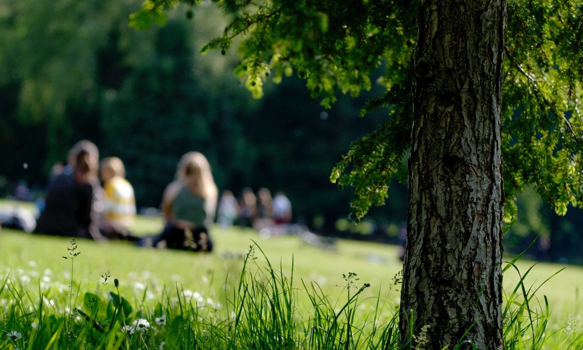 Molesta 15enne alla Villa Comunale di Teramo, anziano denunciato