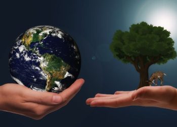 “Biodiversity4Young” sbarca in Abruzzo: un progetto formativo di Enel e Lagambiente sulla biodiversità