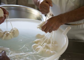 Dal campo al banco: la “sovranità alimentare” dell’azienda abruzzese Cianflocca