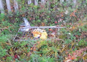 Sulmona: lavori in corso per progetto “Sosteniamo la città”, scoperta discarica abusiva