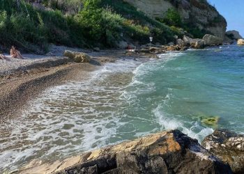 Allarme cementificazione a Ortona, a rischio flora e fauna del territorio