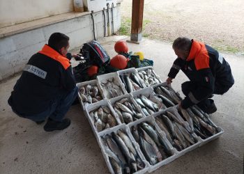 Pesca abusivamente e senza copertura assicurativa, prodotto sequestrato e donato in beneficenza