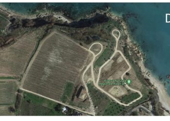 Eliminata vegetazione e costruite piste sterrate nella Riserva Ripari di Giobbe: parte esposto di Soa