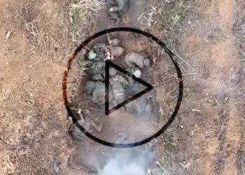 Ecco come Putin manda al macello le giovani reclute (attenzione: video con contenuti sensibili)