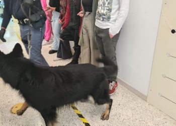 Blitz a scuola con i cani poliziotto, 18enne con 72 gr di droga in uno strumento musicale