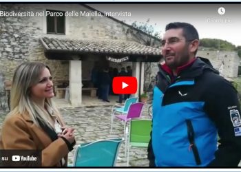 Parco Maiella: lo studio della biodiversità contro lo spopolamento (Video)