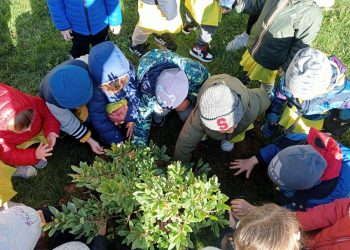 Festa degli alberi: il Conalpa dona alberi e arbusti mediterranei a 4 scuole pescaresi