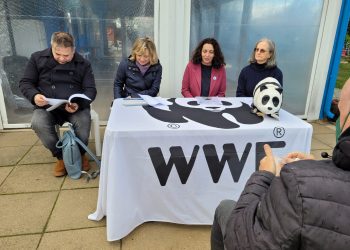 “Alberofobia in Abruzzo”, la riflessione del Wwf sul taglio degli alberi