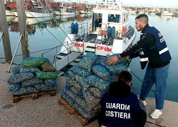 Guardia costiera: sequestrati 1150 kg di prodotti ittici, oltre 13mila euro di sanzioni