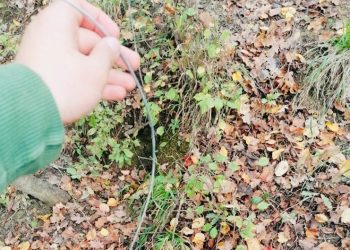 Manoppello, bracconaggio: trovate nei boschi decine di trappole in metallo