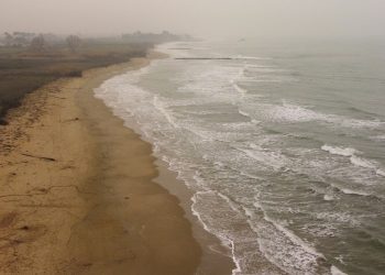 Riserva Borsacchio, Borgatti: “Torna la necessità di ridefinire la linea di costa”